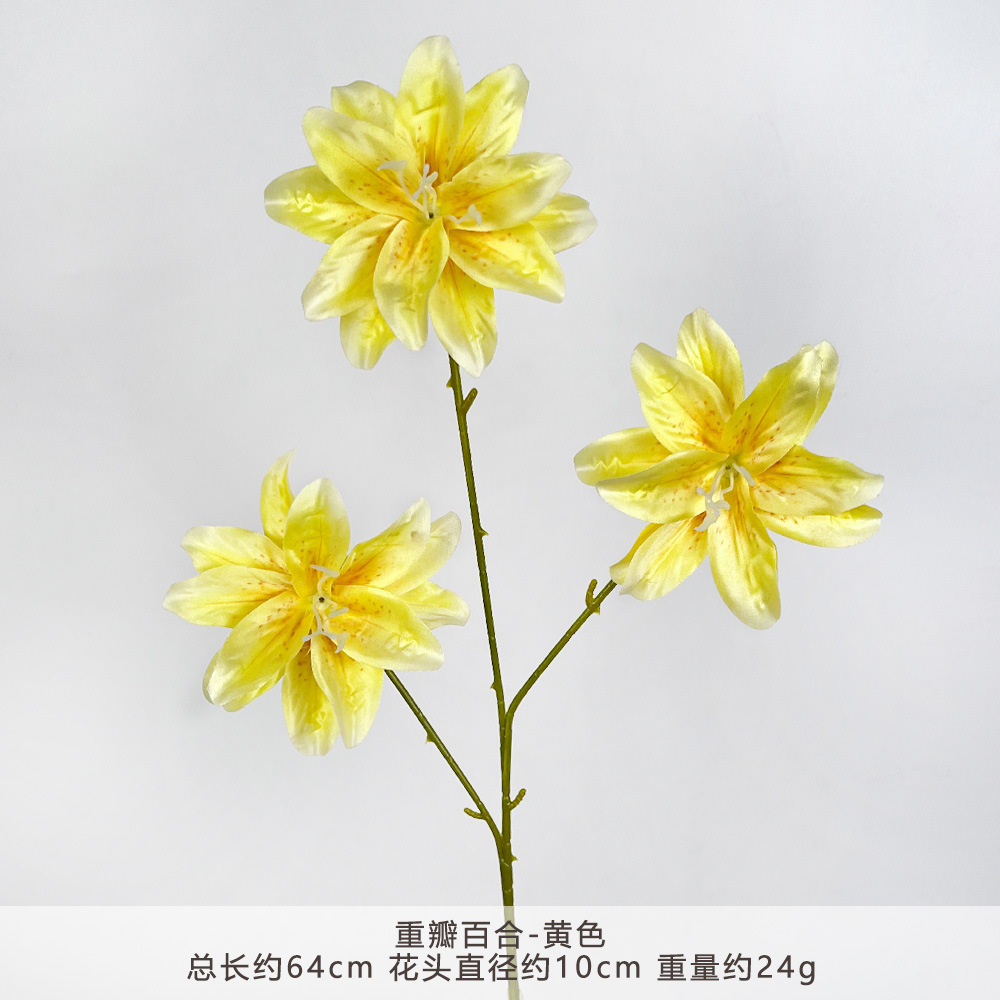 MJ-重瓣百合-黄色