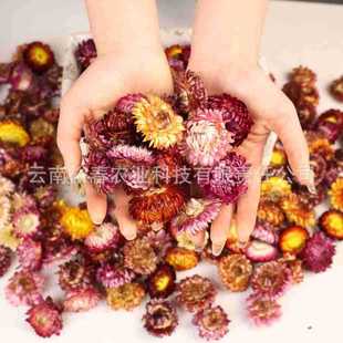 ��Ϯa��ֱ�l���|ɢ�b�ջ��^�������ֹ��b�diy���ϸɻ�