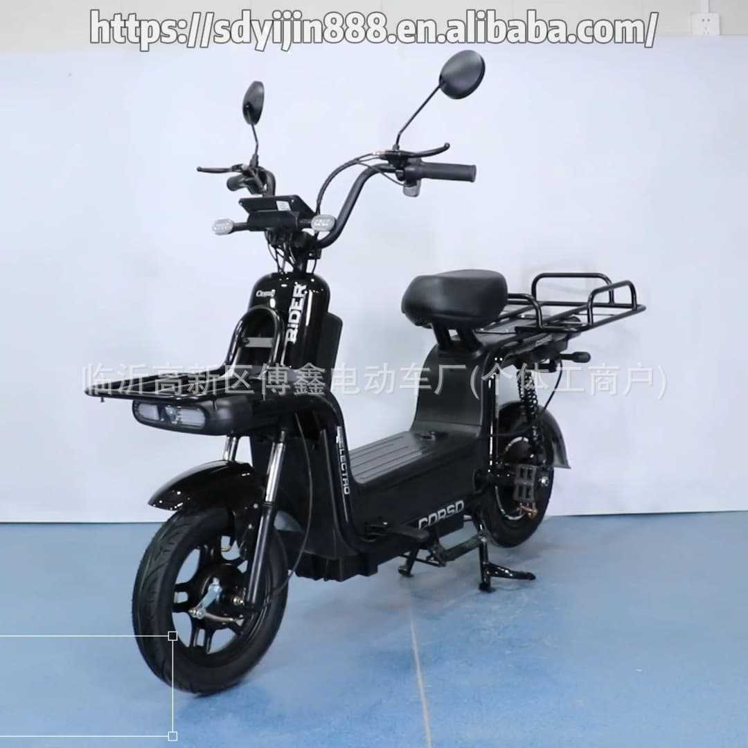 African Foreign Trade Battery Vehicle Wholesale Southeast Asia Cross-Border Electric Bicycle Factory Direct Sales Urban Mobility Double Vehicle