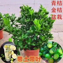 ����С�������ļ���ˮ������޽ӹ�����o�˙����玧�����~