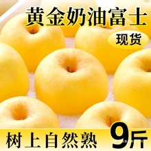 ɽ�|��̨�S�����͸�ʿ�O���������������O��9������]�r����r��