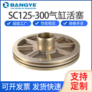 ���T���Ͻ�BANGYE ��׼������SC125-300��׻������S