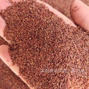 �����ӷN�����lС������ ��ݹ�� ��ʹ�� �׹��� Ѭ���� �R⏲�