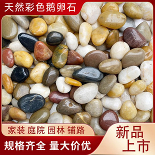 �껨ʯ�Z��ʯ䁵���Ȼ�ڰ�ʯ�^���lͥԺ���@�@�ֹ����~���b���ʯ