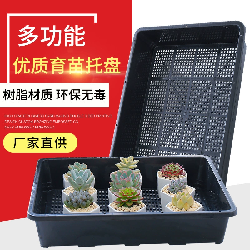 Лоток мясистый пластиковый цветочный горшок маленький черный квадратный лоток для рассады может быть загружен с небольшим прямоугольным лотком 20 7*7