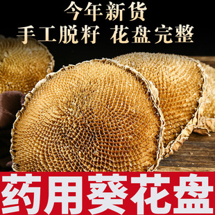 �����P���տ����P�ɱP�����������ѱP���������ș����؛��