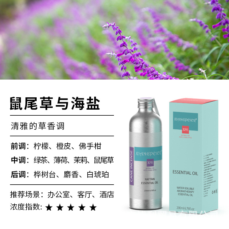 세이지와 바다소금(라이트