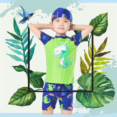 Dinosaur children's swimsuits for boys and girls, suitable for middle-aged children, young children, short-sleeved shorts, hot spring swimsuits, beach separates