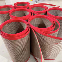 工业铁氟龙网格输送带 高温网带 特氟龙食品级烘干机高温传送E18