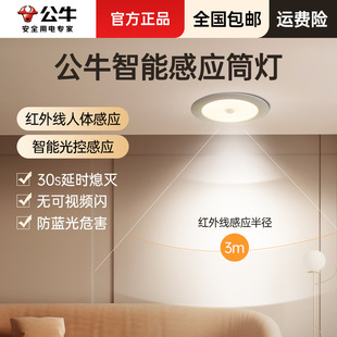 Bull human body induction embedded led downlight home living room opening 75mm hole light hole light simple light bull eye light