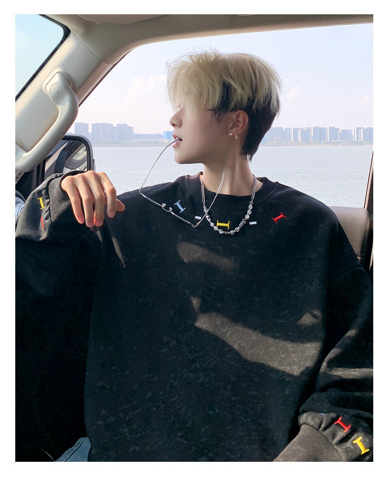 Embroidered Crew Neck Long Sleeve Pullover For Men Casual Top_voghion.com