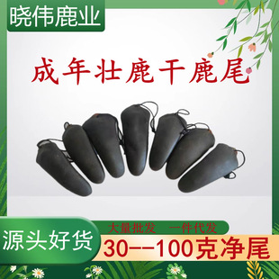 ���l�R¹β��¹β�̓�β�Ҝ��ݾ�