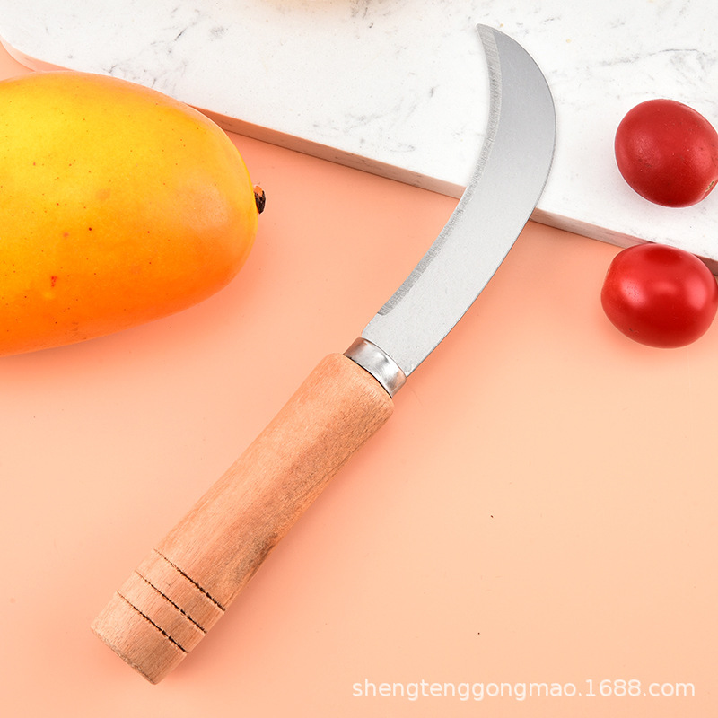 Cuchillo de frutas de acero inoxidable doméstico guisa