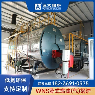 CWNS系列卧式常压燃气热水锅炉 1吨燃油热水锅炉