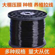 PET������䓾� ���Ҵ�����Ļ�����l �߲�ˮ�����@�r�I�Bֳ��䓾�