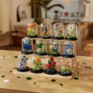 �eľ�����������Է��m��ֲ��ƴ�b��ߔ[��Ů�����նY��DIYƴ�b