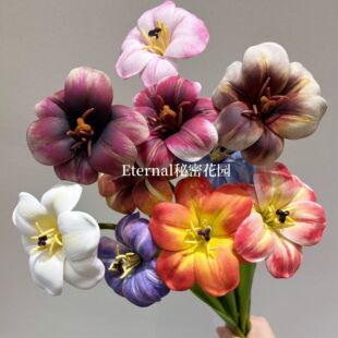 ���滨EVA�ָ�������3D�����_��С���ҾӲ廨�쾰ܛ�b��c������