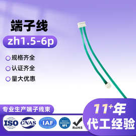 加工线束分接端子线接插家用电器环保耐高温铜线zh1.5间距6p排线