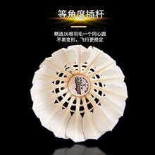 �׽���A����ë���ʹ��w�з������I�Zë���^Ӗ����ِ����12ֻ�b