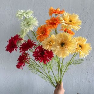 Ī�λ��@���滨�Ķ�Ͱ����޾ռҾӻ�c�����r���b������Q����