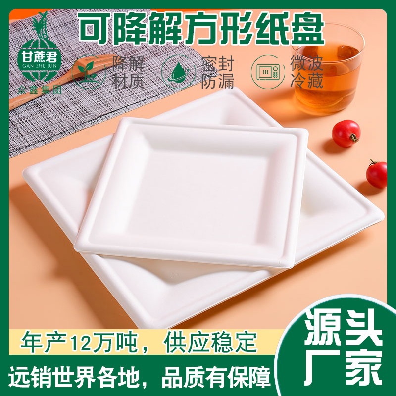 Plato de pulpa cuadrado, plato de papel grueso degradable, vajilla desechable, pintura, picnic hecho a mano, barbacoa 6 8 10 pulgadas