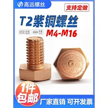 ����T2�������~��������˨���~�ݽzM4M5M6M8M10M12M14M16