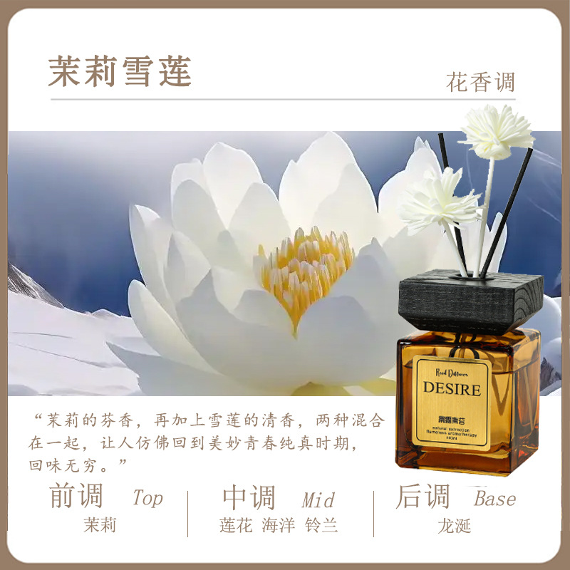 점주가 추천하는 자스민 스노우 로터스 [뉴 프래그런스 - 프레쉬 프래그런스]