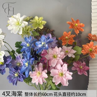 4�溣�Ļ���Y�����҃ȼҾ��b廨�zӰ��c���ߔ[�����컨�ٻ�