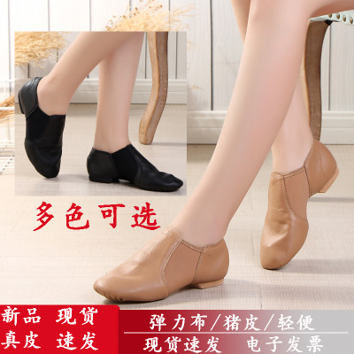 民族舞成人弹力布全皮室外黑色低帮软底练功鞋教师猫爪爵士舞芭蕾