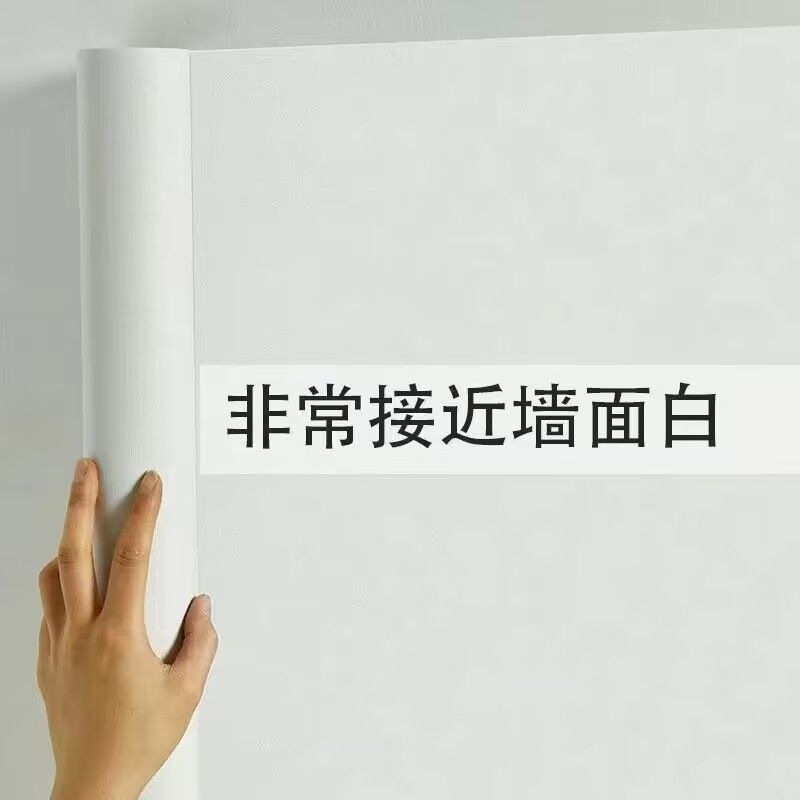 퍼티 화이트⚑⚑