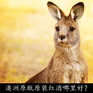 �F؛�Ĵ������M�ڼt�� �ϰ����� 15% ԭ�b�ɼt���ѾƼt�����l����