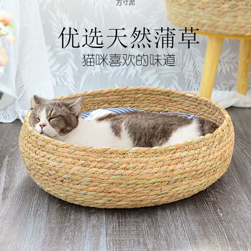 Кошачье гнездо четыре сезона универсальное летом