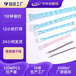 定制单头双头2468蓝白红白排线端子线电子线加工XHPH排线端子线束