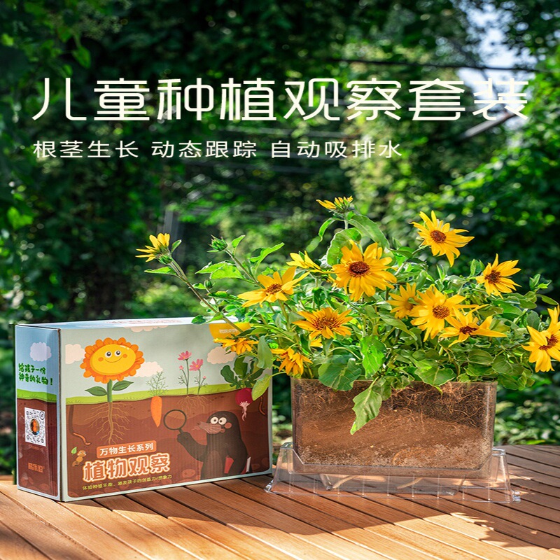 Children Plant Small Potted Sunflower Seeds for Primary School Students to Observe Strawberry Impatiens Seeds Root Growth Set