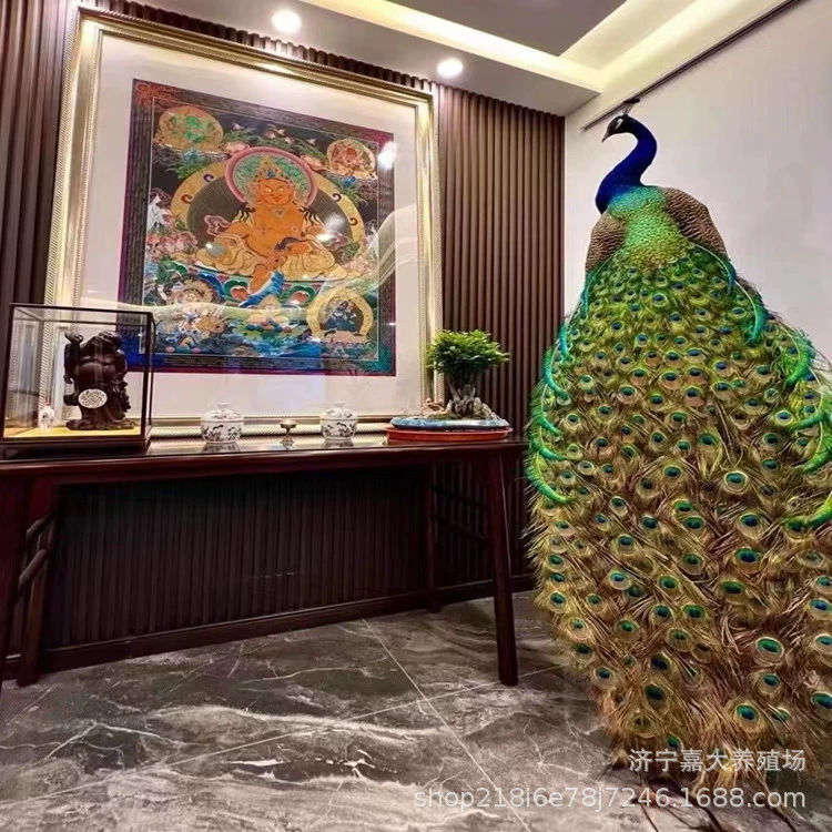 Цена образца павлина для просмотра украшения образцов павлина гостиной открытый экран образец павлина образец белого павлина образец украшения дома