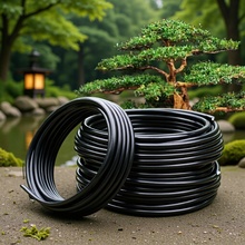 �辰�����X�z�X����������ܛ�X�z���辰����ɫ�X�z1.0 2