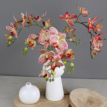 ��������m 2���w���m�ָ��m�� ޥ�m��c�zӰ�Ҿ��b��滨�ٻ�