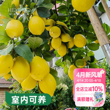 ���ٵĻ��@ ��ˮ���ʘ����Ƥ������Խ��Ә����������Ϸ�������