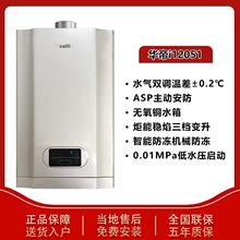 i12051-13/12051-16水气双调家用恒温热水器12升/13升