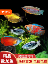 �����~�Ꭷ�^�p�~�{�����S������������~�����R�׻��w��̖��ˮ�~