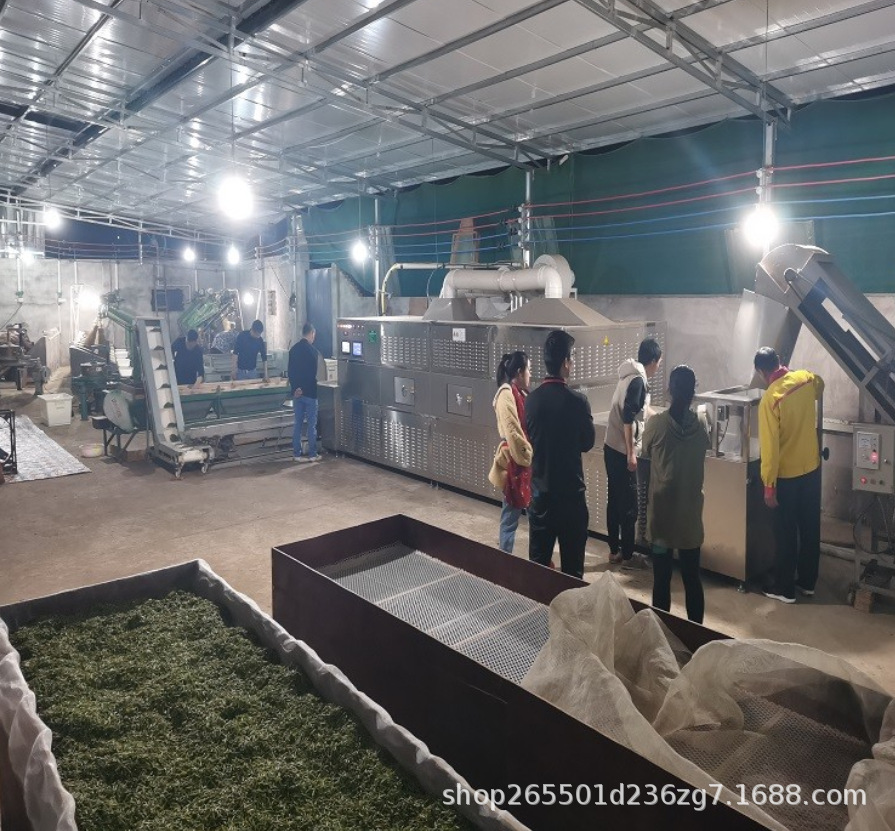 隧道式微波茶叶杀青机 玫瑰花菊花杀青设备 色泽鲜亮