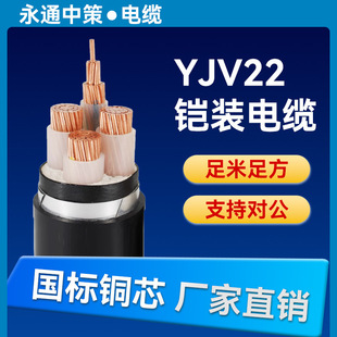 �в���|ZCYJV22�z�b2 3 4 5о1.5 4 6 10 25 50 95 300ƽ����|