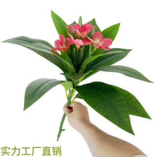 仿真鸡蛋花单枝手感鸡蛋花束客厅仿真花园林造景仿真树叶工厂直销