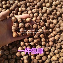 桃核刻料寺庙朱砂桃核胡桃文玩散籽颈椎枕头拍打袋原料饰品手链