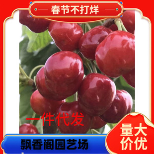 �ش���Ҙ��玧��ͥԺ܇���Ә�����Ҙ����ϱ����Nֲ���Ҙ����