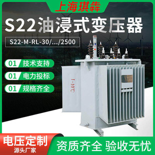 S22�ͽ�ʽ���׃����1000kva�Ǿ��Ͻ�����߉�SH15/18һ���ܺ�NX1