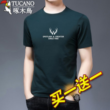 �¿���ľ�B����T�����b���|�����ļ�������ʿ�w���������´����