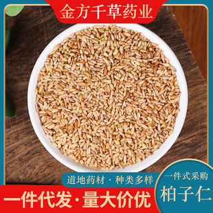 中药材批发野生柏子仁500g克正品新货柏子仁茶柏子仁粉柏酸枣仁-阿里巴巴