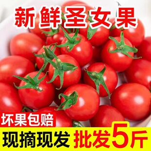 ����5��Fժ�}Ů��С�������t�����rˮ��ǧ��С�������r�߲�ˮ��