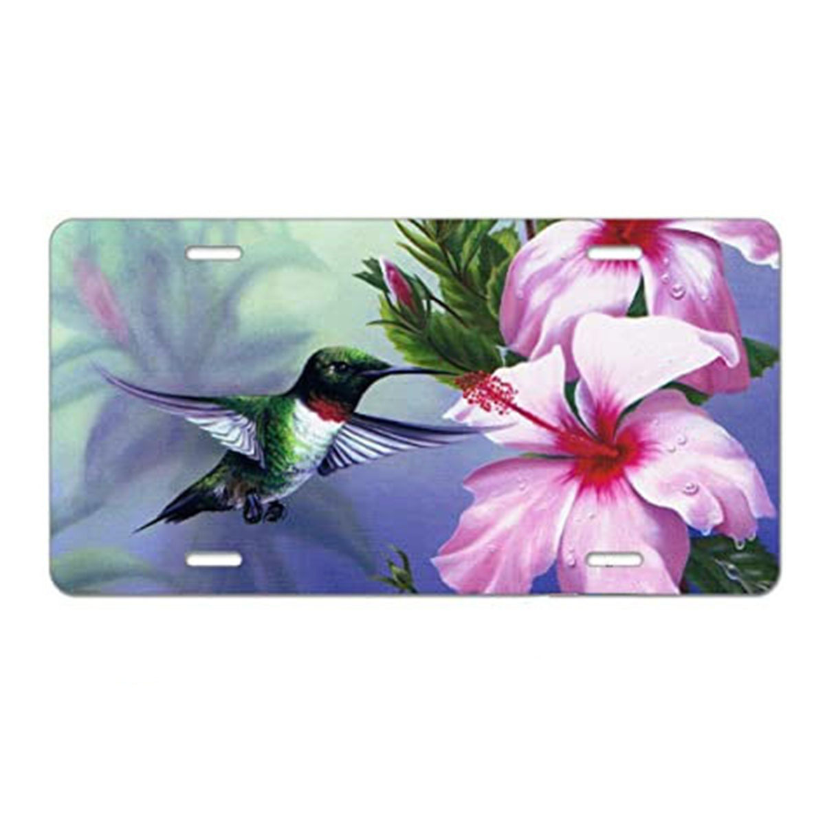 13 (비재고 금액은 이유없는 반품을 지원하지 않습니다)